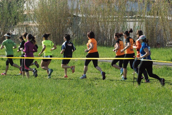 Cross Valle del Tevere (20/03/2016) 00018