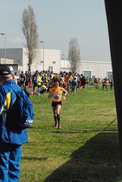 Cross Valle del Tevere (20/03/2016) 00073