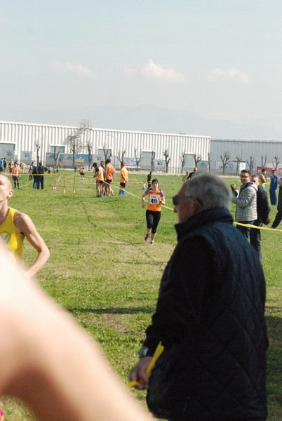 Cross Valle del Tevere (20/03/2016) 00078
