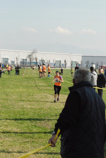 Cross Valle del Tevere (20/03/2016) 00080