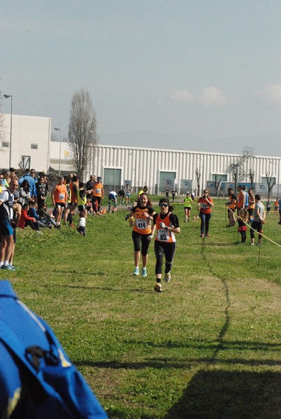 Cross Valle del Tevere (20/03/2016) 00086