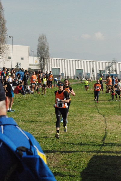 Cross Valle del Tevere (20/03/2016) 00088