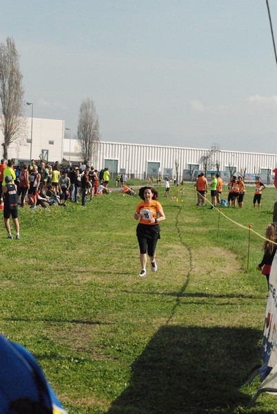 Cross Valle del Tevere (20/03/2016) 00102