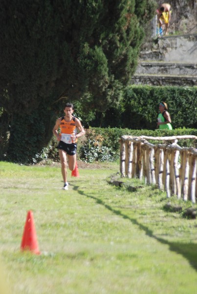 Maratona di Roma a Staffetta (TOP) (15/10/2016) 00101