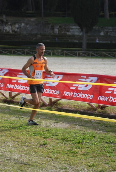 Maratona di Roma a Staffetta (TOP) (15/10/2016) 00242