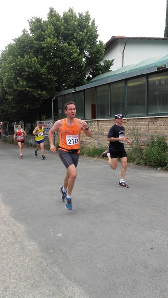 Maratonina di Villa Adriana (CCRun) (29/05/2016) 00010