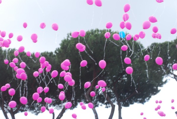 Race For The Cure (TOP) (15/05/2016) 00071