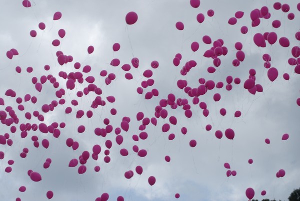 Race For The Cure (TOP) (15/05/2016) 00075