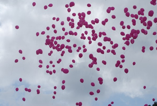 Race For The Cure (TOP) (15/05/2016) 00076