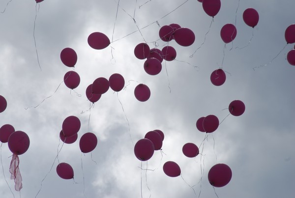 Race For The Cure (TOP) (15/05/2016) 00082