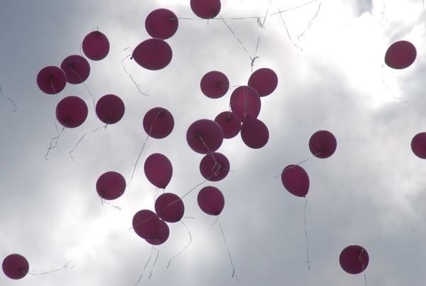 Race For The Cure (TOP) (15/05/2016) 00083