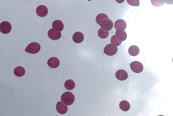 Race For The Cure (TOP) (15/05/2016) 00084