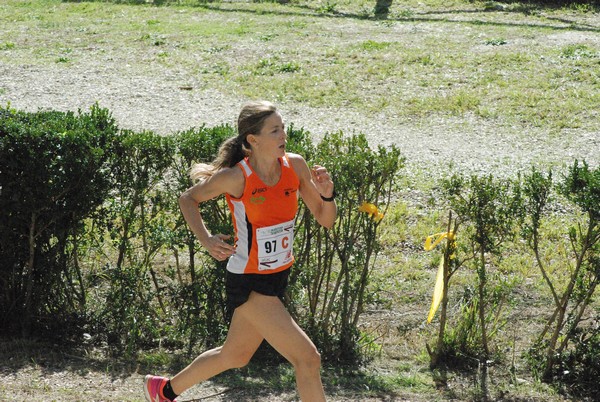 Maratona di Roma a Staffetta (TOP) (15/10/2016) 00133