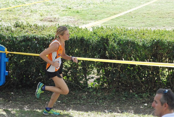 Maratona di Roma a Staffetta (TOP) (15/10/2016) 00150