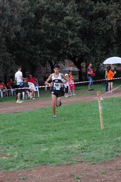 Trofeo Podistica Solidarietà (TOP,CE) (18/09/2016) 00038