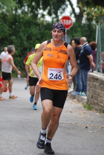 Maratonina di Villa Adriana (CCRun) (29/05/2016) 00008