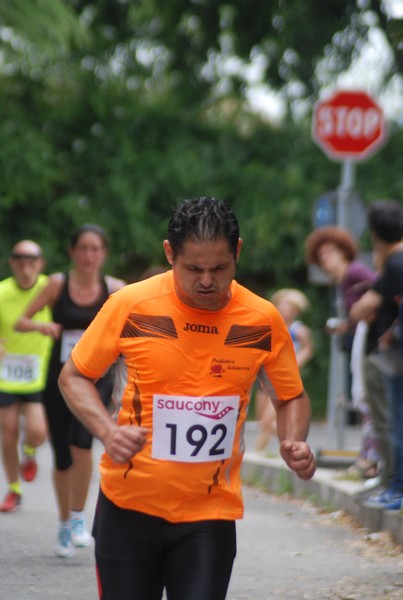 Maratonina di Villa Adriana (CCRun) (29/05/2016) 00053