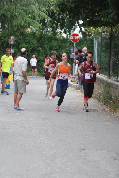 Maratonina di Villa Adriana (CCRun) (29/05/2016) 00071