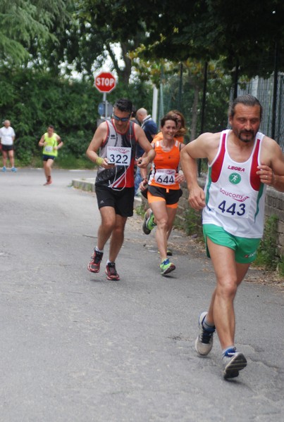 Maratonina di Villa Adriana (CCRun) (29/05/2016) 00101