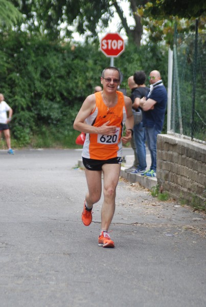 Maratonina di Villa Adriana (CCRun) (29/05/2016) 00150