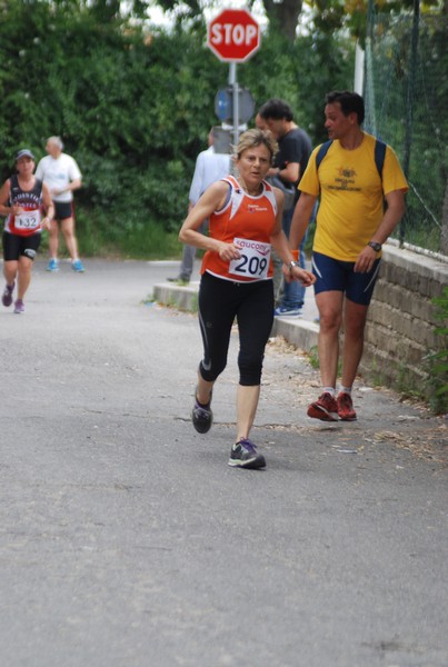 Maratonina di Villa Adriana (CCRun) (29/05/2016) 00158