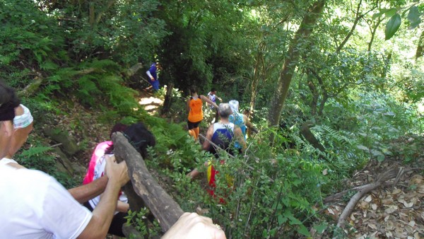 Etrurian Trail (22/05/2016) 002