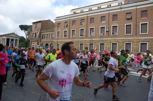 Race For The Cure (TOP) (15/05/2016) 00122