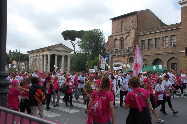 Race For The Cure (TOP) (15/05/2016) 00188