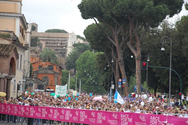 Race For The Cure (TOP) (15/05/2016) 00212