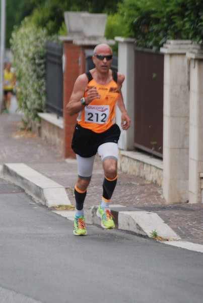 Maratonina di Villa Adriana (CCRun) (29/05/2016) 00017