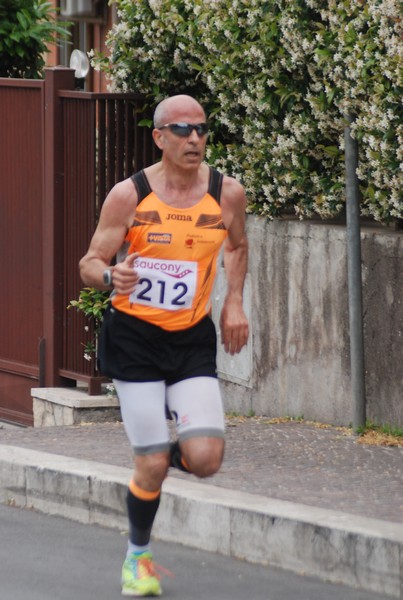 Maratonina di Villa Adriana (CCRun) (29/05/2016) 00022