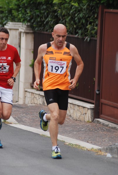 Maratonina di Villa Adriana (CCRun) (29/05/2016) 00069
