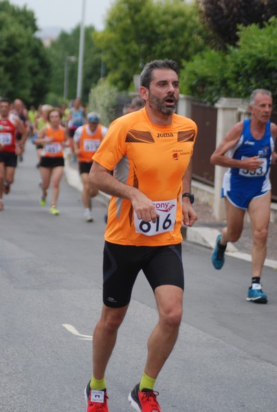 Maratonina di Villa Adriana (CCRun) (29/05/2016) 00127