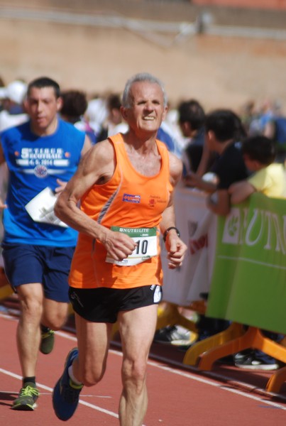 Appia Run (17/04/2016) 00178