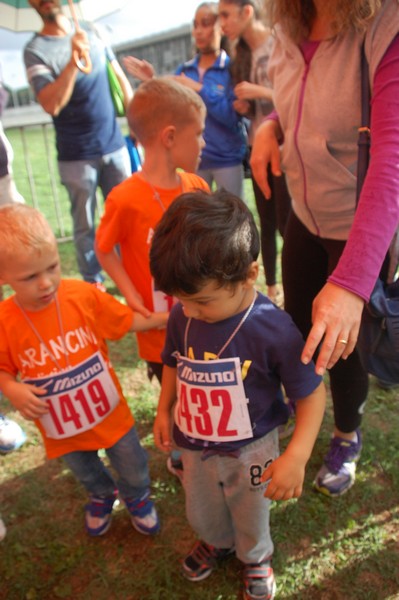 Trofeo Podistica Solidarietà (TOP,CE) (18/09/2016) 00029