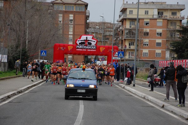 Corriamo al Collatino (TOP) (28/02/2016) 00011