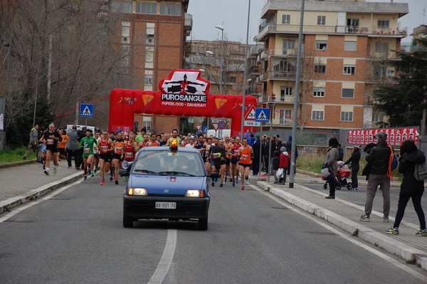 Corriamo al Collatino (TOP) (28/02/2016) 00012