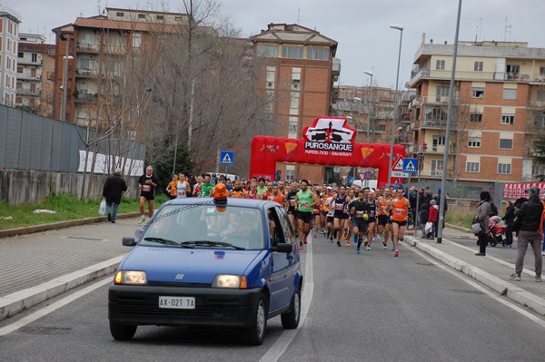 Corriamo al Collatino (TOP) (28/02/2016) 00015