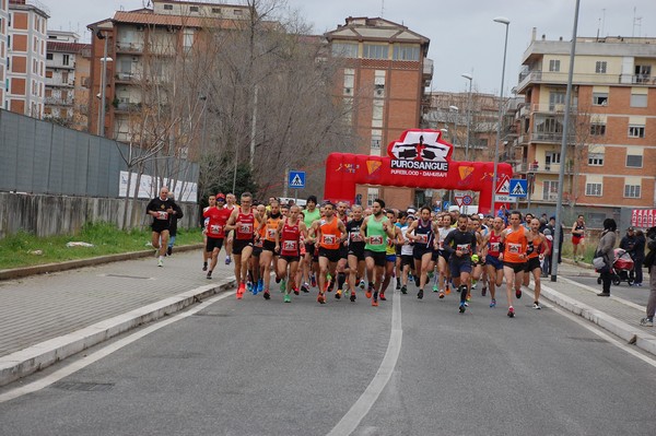 Corriamo al Collatino (TOP) (28/02/2016) 00018