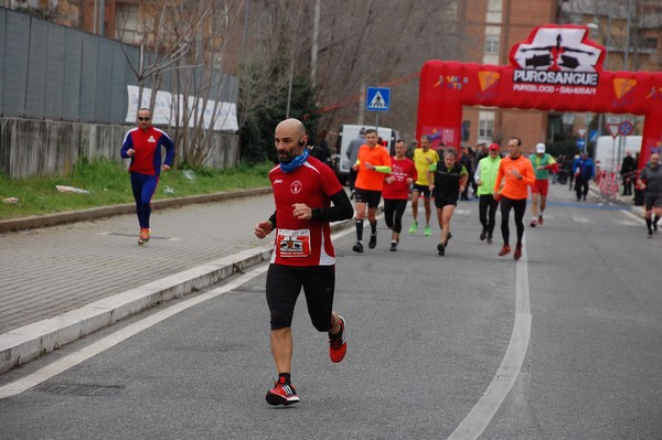 Corriamo al Collatino (TOP) (28/02/2016) 00118