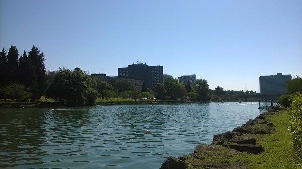 Triathlon Olimpico di Roma (22/05/2016) 00001