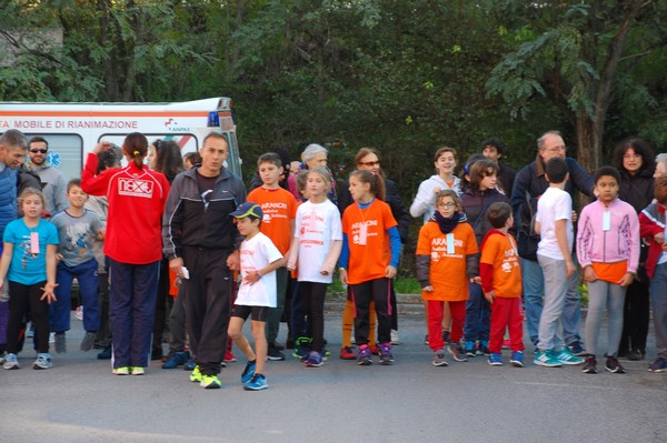 Maratonina di S.Alberto Magno (12/11/2016) 00008