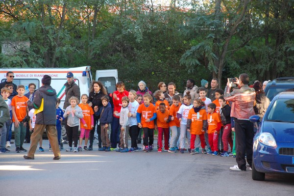Maratonina di S.Alberto Magno (12/11/2016) 00010