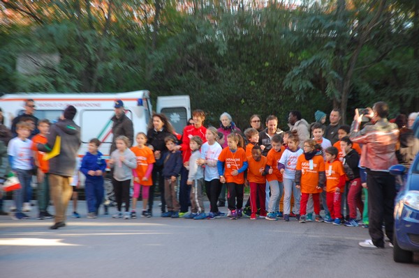 Maratonina di S.Alberto Magno (12/11/2016) 00011
