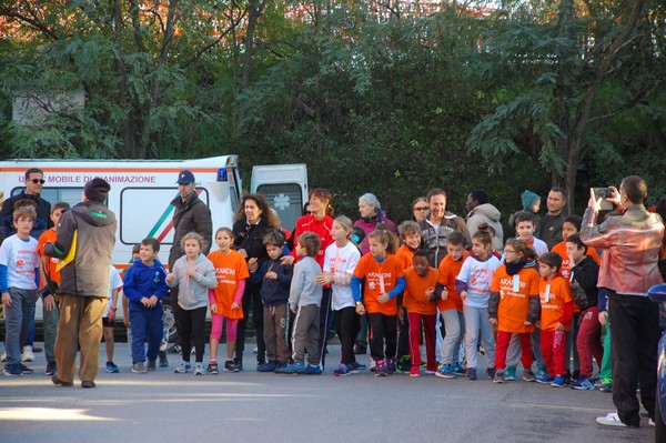 Maratonina di S.Alberto Magno (12/11/2016) 00012