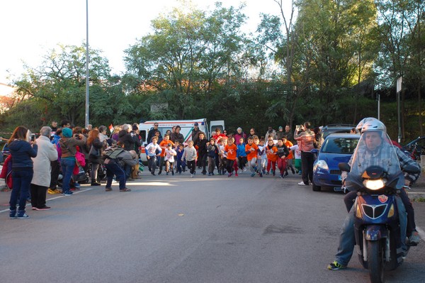 Maratonina di S.Alberto Magno (12/11/2016) 00013