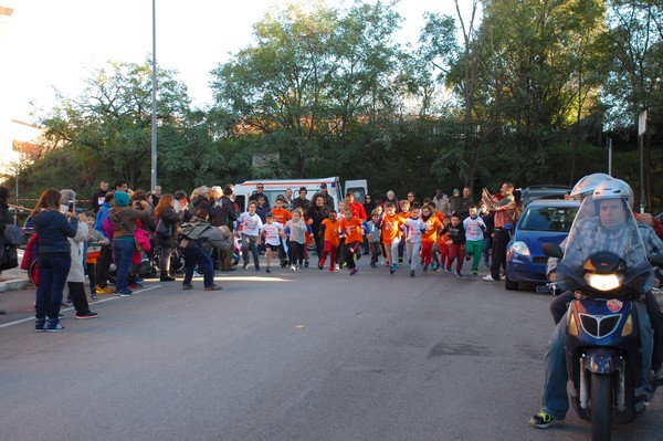 Maratonina di S.Alberto Magno (12/11/2016) 00014