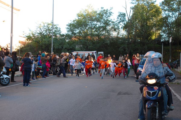 Maratonina di S.Alberto Magno (12/11/2016) 00015