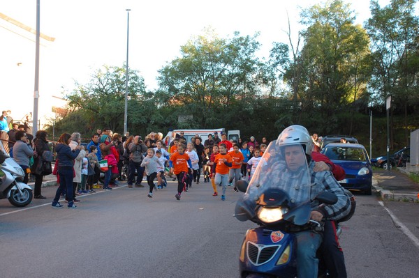 Maratonina di S.Alberto Magno (12/11/2016) 00016