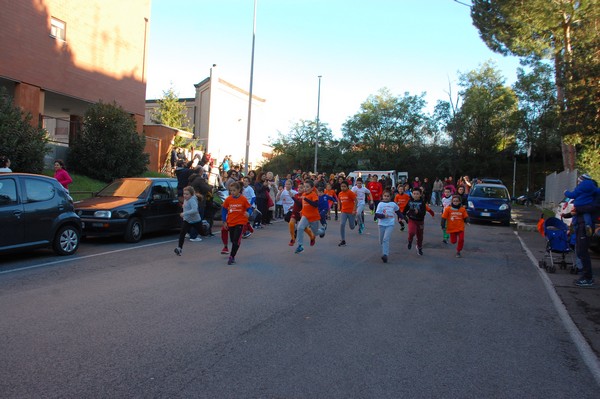 Maratonina di S.Alberto Magno (12/11/2016) 00017
